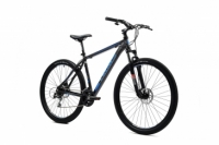 Holts 29er 1.0