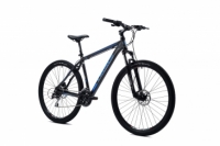 Holts 29er 2.0