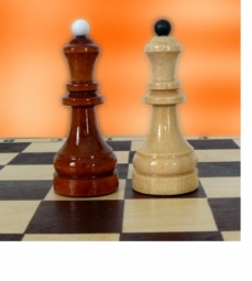 Шахматы турнирные без доски