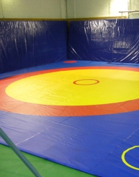 Борцовский ковер