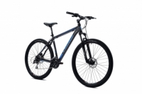 Holts 29er 2.0