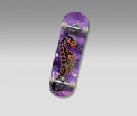SEAHORSE