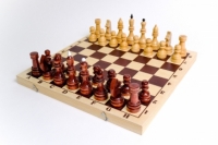 Шахматы турнирные