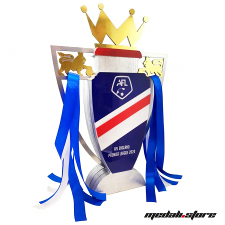 Спортивные награды 